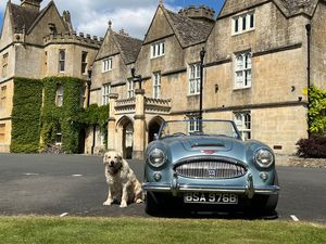 Photo 17- click for photo gallery